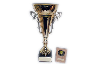 Ministox Driver Of The Month Ministox Driver Of The Month